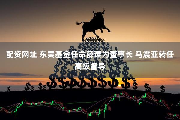配资网址 东吴基金任命薛臻为董事长 马震亚转任高级督导