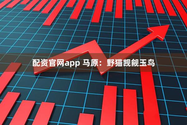 配资官网app 马原：野猫觊觎玉鸟